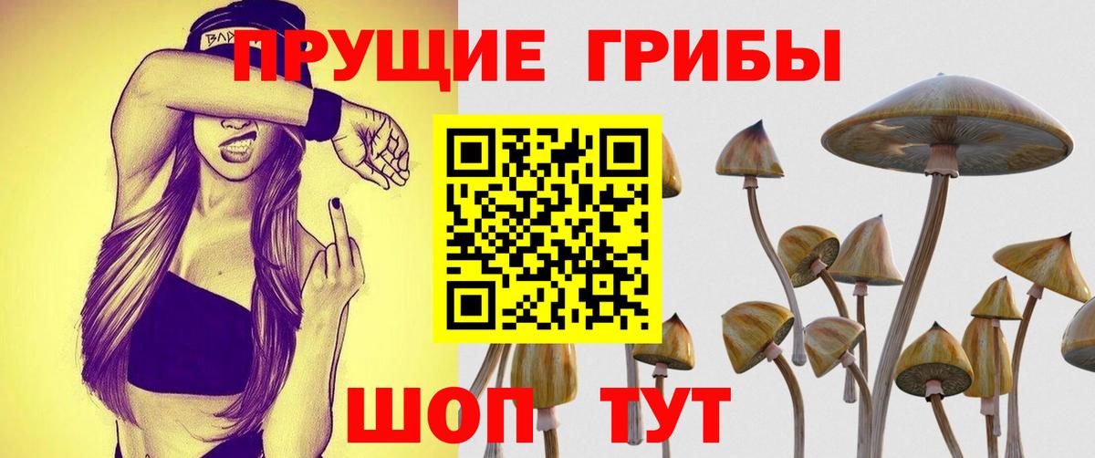 Валуйки  Псилоцибиновые грибы GOLDEN TEACHER  Вход с VPN  купить наркотики цена  Галлюциногенные грибы Psilocybe 