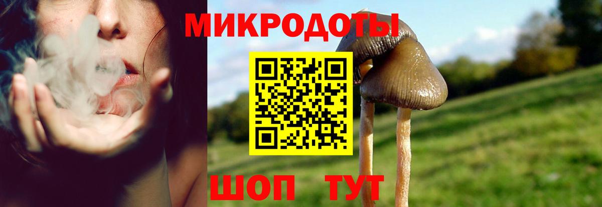 Галлюциногенные грибы Cubensis Валуйки
